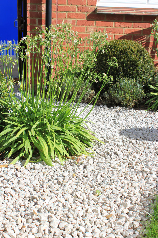 White Limestone Aggregate CED Ltd for all your Natural Stone