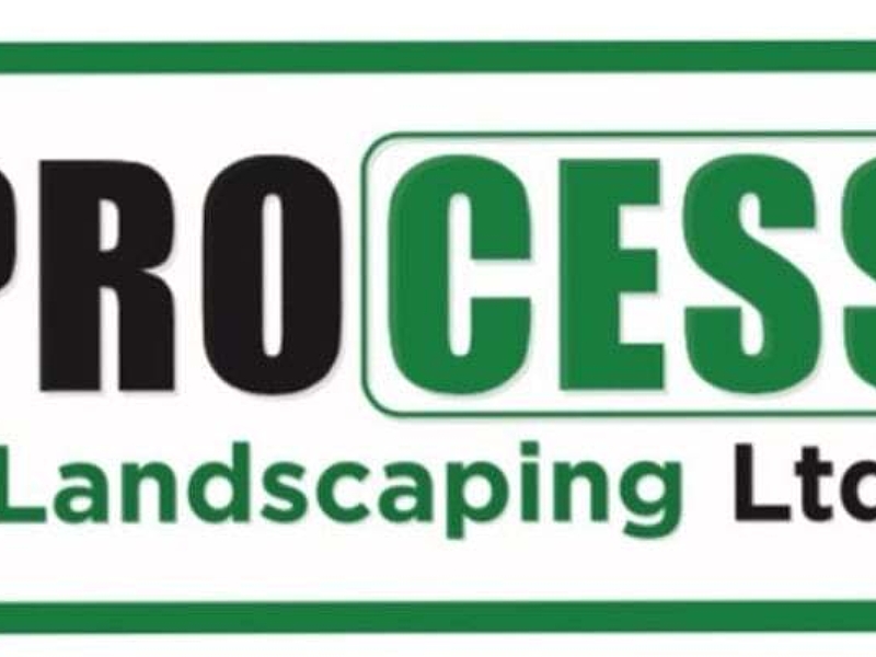 Process Landscaping