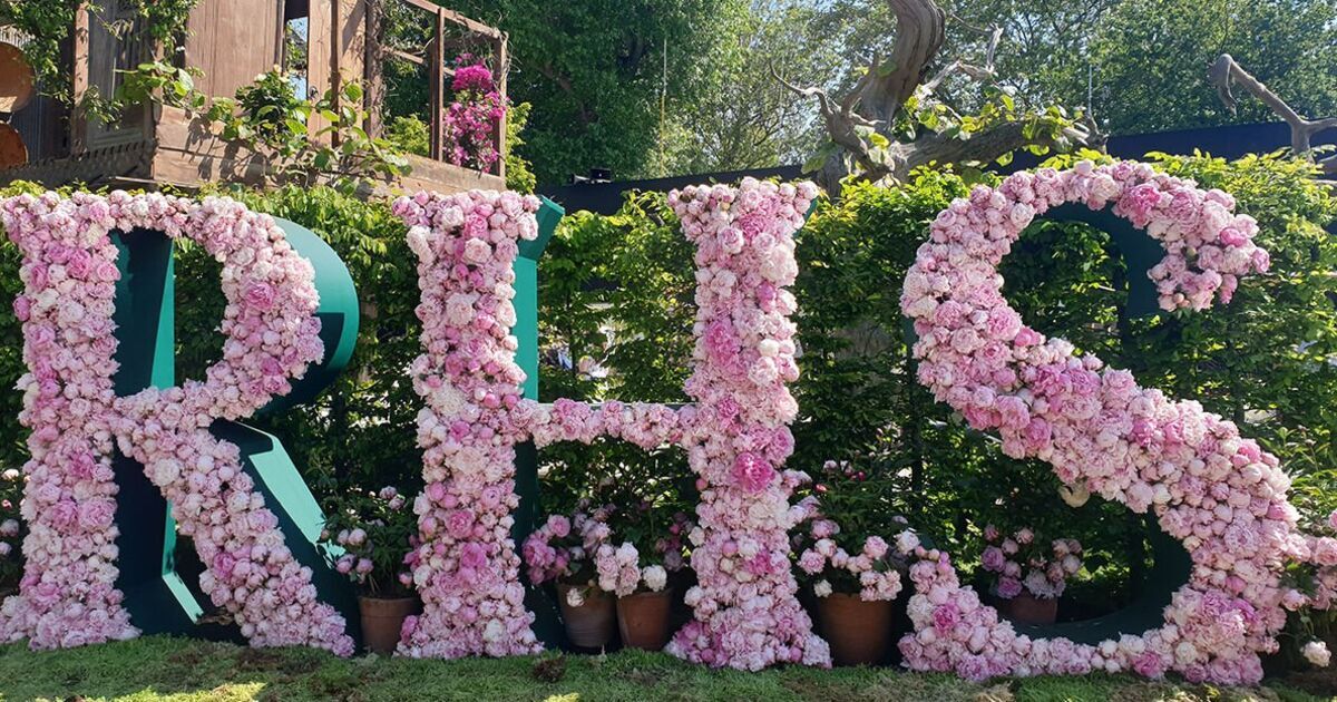 Transforming Gardens: Ced Stone's Role in Supplying Stone for the RHS Chelsea Flower Show