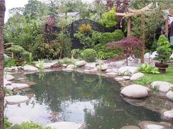 2002 - World Of Koi, Stephen Hickling
