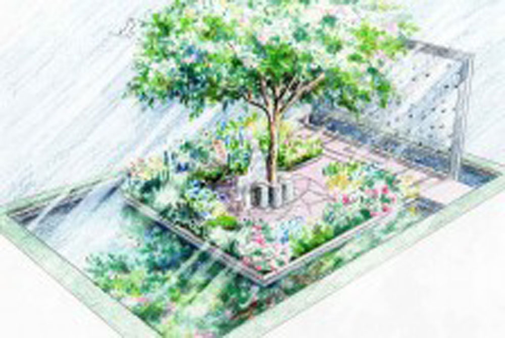 Thinking of Peace garden design