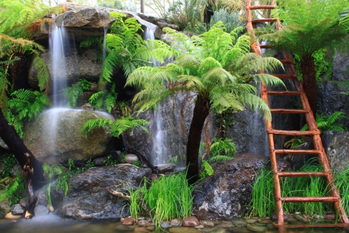 Trailfinders – An Australian Garden presented by Flemings, 2013 Chelsea Flower Show Gold & Best In Show