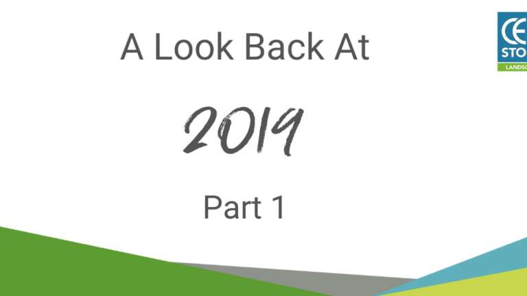 A Look Back At 2019 - Part 1