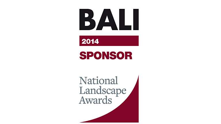 CED Sponsors International Awards Category at the Annual BALI Awards Ceremony