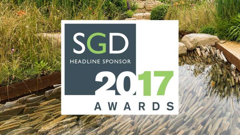 CED Headline Sponsors for SGD Awards 2017… With A Surprise In Store!