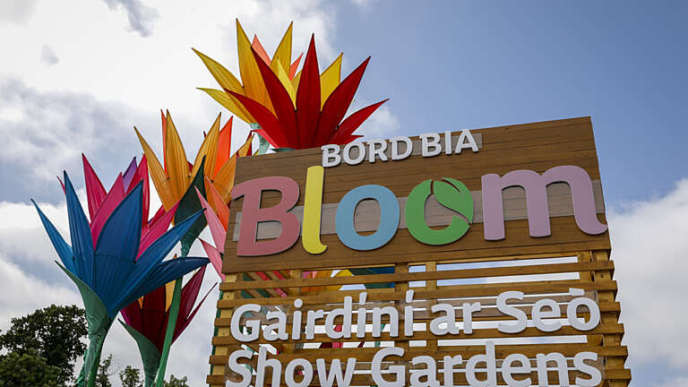 CED Stone Group at Bord Bia Bloom 2026: Supplying Materials for Inspiring Garden Design