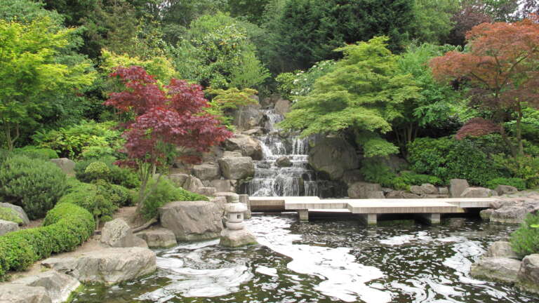 London's Beautiful Kyoto Garden, Delighting visitors for Thirty Years